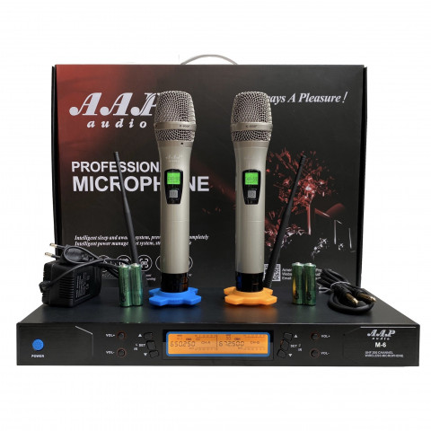 Micro AAP M6