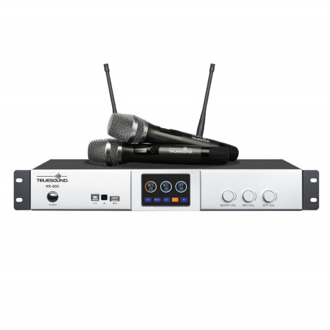 Amply Truesound HK-600 (3 in 1)